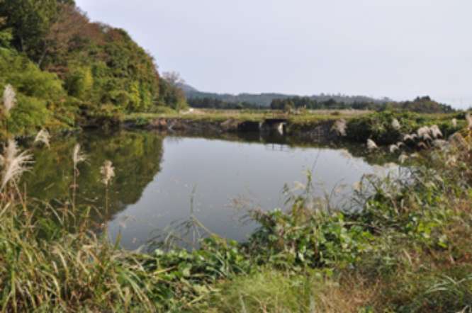 狭く地耐力の無いため池堤防や護岸